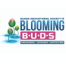Blooming Buds